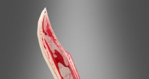 Money dispute over sex with male lab technician led to ISRO scientist’s murder