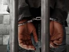 नारकोटिक्स कंट्रोल ब्यूरो ने मुंबई में ड्रग्स के एक और रैकेट का किया भंडाफोड़, सरगना गिरफ्तार
