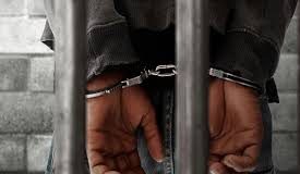 नारकोटिक्स कंट्रोल ब्यूरो ने मुंबई में ड्रग्स के एक और रैकेट का किया भंडाफोड़, सरगना गिरफ्तार