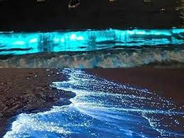 sea