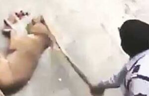 सुरक्षा गार्ड के खिलाफ कुत्ते को पीट-पीटकर मार डालने का मामला दर्ज
