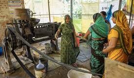 महिलाओं को विशेष कृषि व्यवसाय सब्सिडी मिलेगी