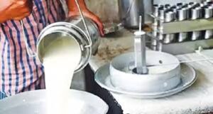 मिलावटी दूध मामले में कड़ी कार्रवाई, मकोका के तहत कार्रवाई होगी